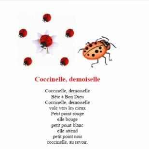 Chanson sur la coccinelle